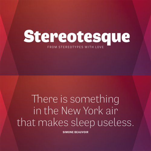 Stereotesque Font Family from Stereotypes