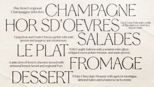 Stylish Aesthetic Font by Nicky Laatz