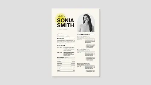 Pro Resume Layout: BrandPacks' A4 InDesign Template