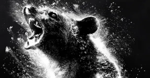 Watch: The Upcoming Horror-Comedy Movie ‘Cocaine Bear’ Looks Hilarious AF