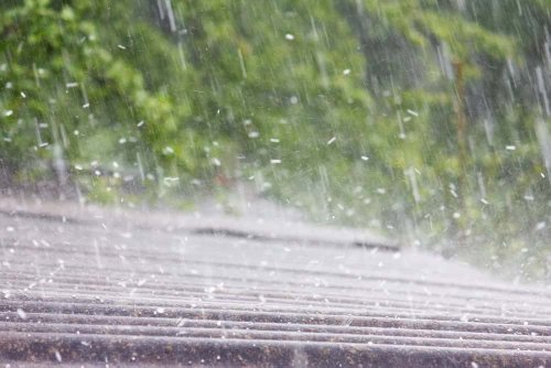 How Tropical Forests Regulate Malaysia Rainfall