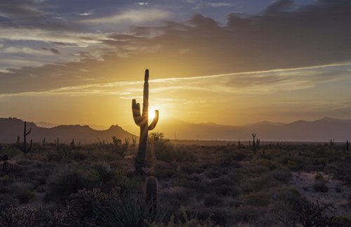 Why Arizona’s Water Supply Is in Deeper Trouble Than You Think