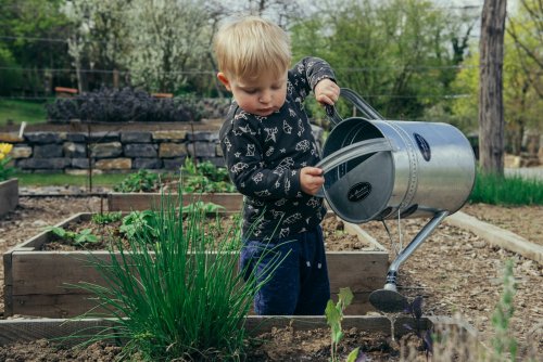 Why the UK’s Weather Is Perfect for Garden Enthusiasts