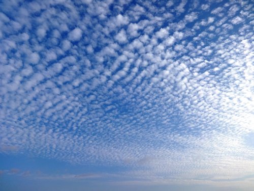 Understanding Cirrus Clouds: Indicators of Change