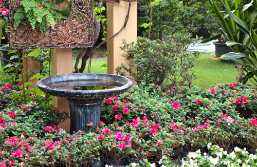 Building Resilient Gardens in the Face of Climate Change
