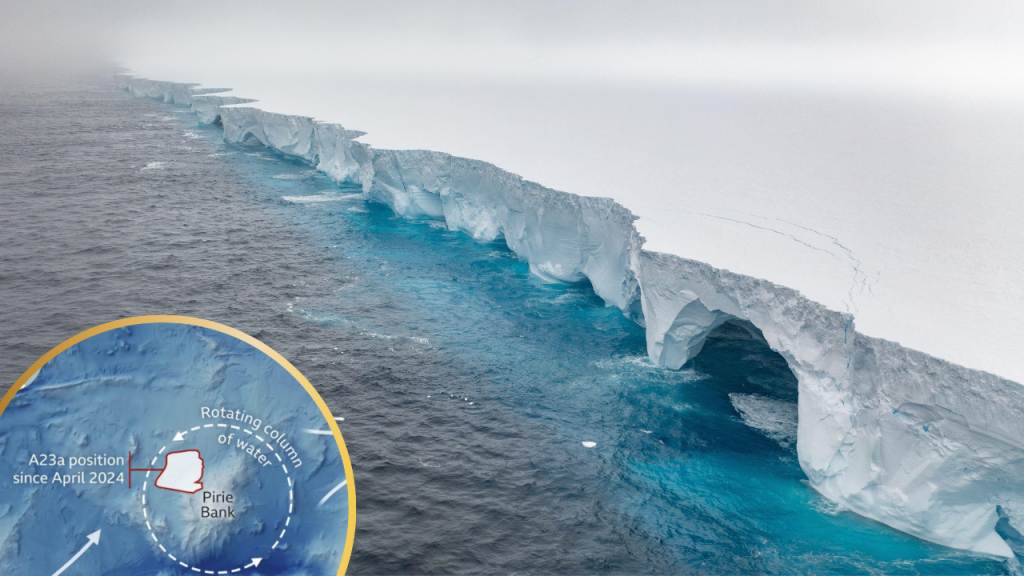 AMAZING ANTARCTICA - cover