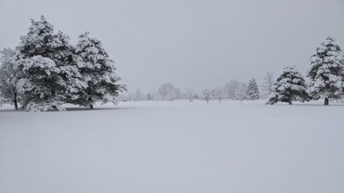 Denver Snowstorm Disrupts Travel and Drops Over a Foot of Snow
