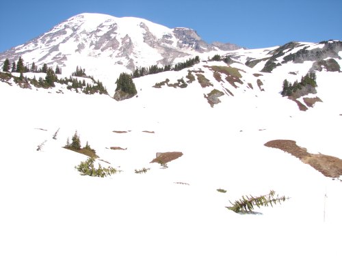 Experts Say We’re Due for a “Snow Drought”—Here’s the Fallout