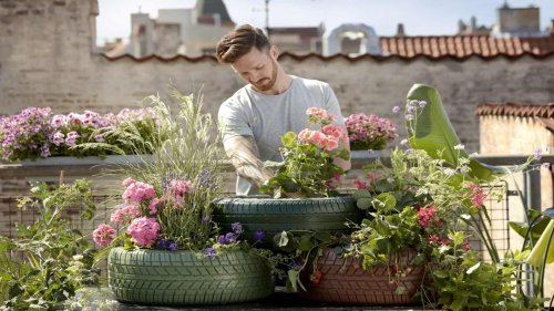 Weather Gardening Thrives Amid Climate Change