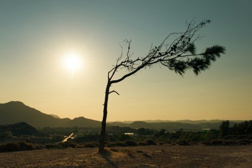 Why Wind Patterns Are Slowing Down Across the Globe
