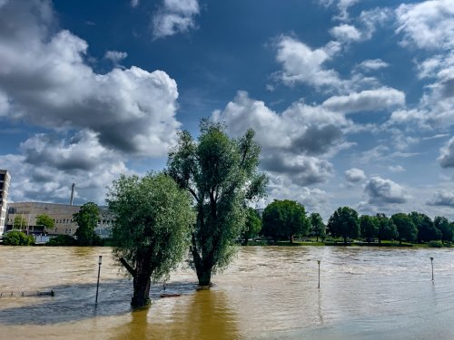 From Floods to Fires: How Climate Change Is Supercharging Natural Disasters