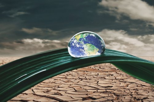 What If We’re Fighting the Wrong Climate War Altogether?