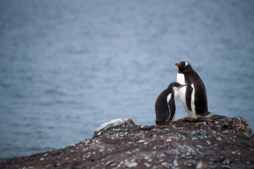 This Is the Coldest Temperature Ever Recorded on Earth