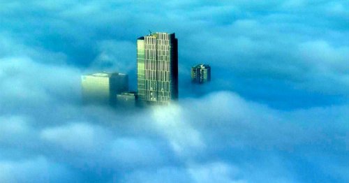 Atemberaubende Luftaufnahmen: Sydney versinkt in einer dichten Nebeldecke