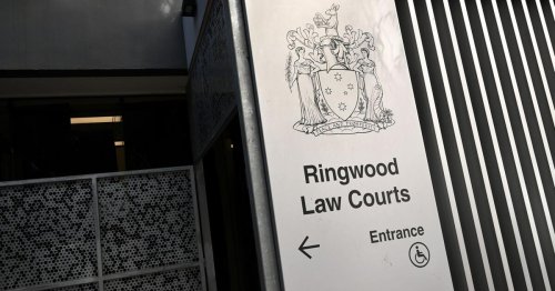 Australien: Frau will Zehen aus Hunde-Erbrochenem verkaufen