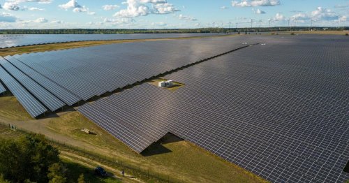 Dass Hitze über Solarparks Vögel und Insekten schadet, ist erfunden