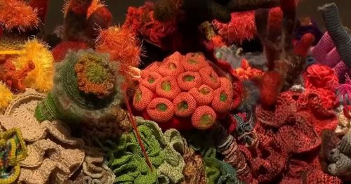 Internationales Projekt: Häkeln gegen das Korallensterben