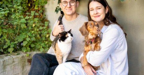 Hunde- oder Katzenmensch? Das Sternzeichen verrät es