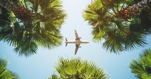 Wie stehen die Chancen für Last-Minute-Flüge in den Sommerferien?