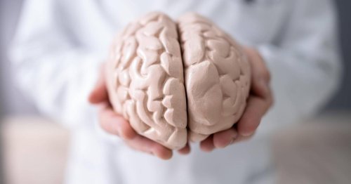 Gedächtnisweltmeister und Neurologe erklärt: So trainieren wir unser Hirn