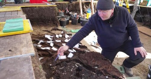 Rekord-Grab in Norddeutschland: Knochen sind rund 10.500 Jahre alt