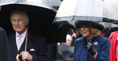 Jubel im Regen: König Charles III. und Camilla in Hamburg