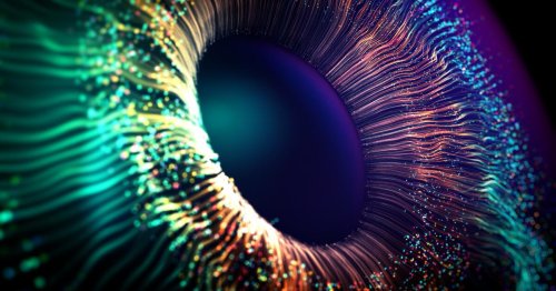 Neu entdeckte Farbe Olo: Erst fünf Menschen haben sie gesehen