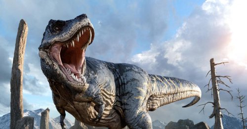 Hätten Sie richtig geschätzt? So viele T. rex-Exemplare gab es auf der Erde