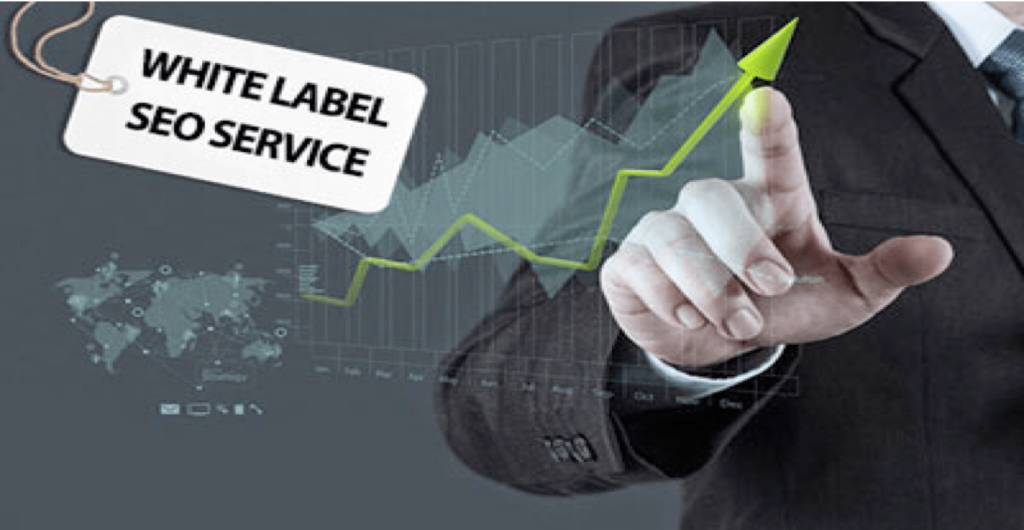SEO Reseller Services  cover image