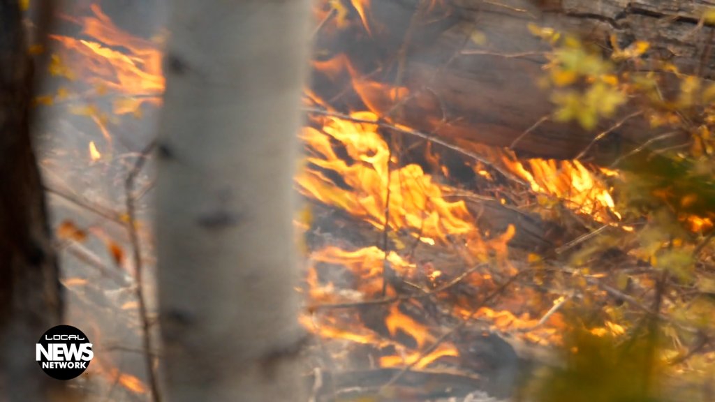 Local News Network on Flipboard