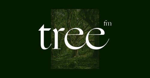 tree.fm â€“ Tune Into Forests From Around The World ðŸŒ³ðŸ”ˆ