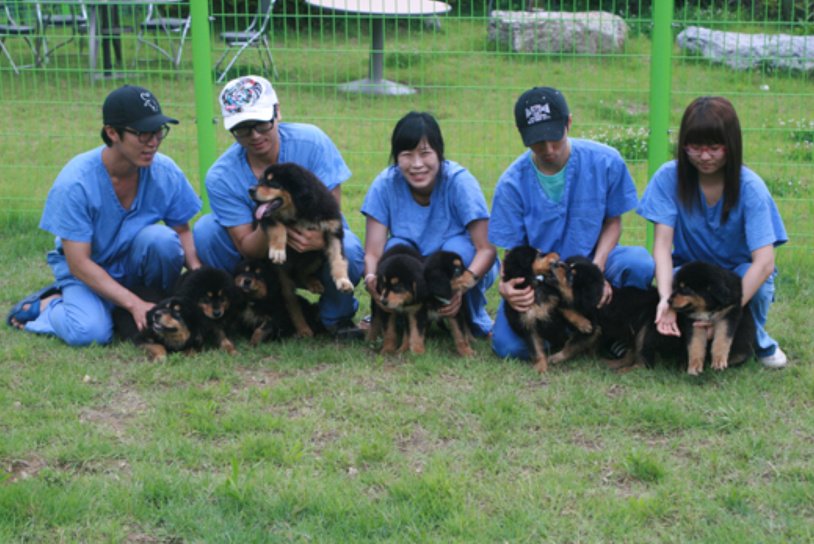 En Corée du Sud, cloner les animaux de compagnie est un business - WE DEMAIN