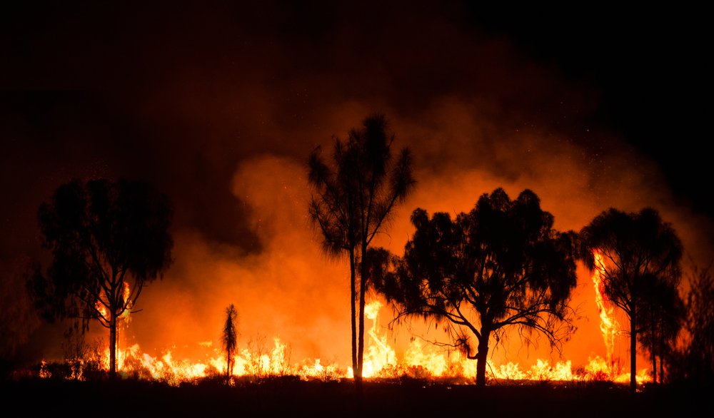 "Les incendies montrent les limites de la vision dominatrice de la nature" - WE DEMAIN