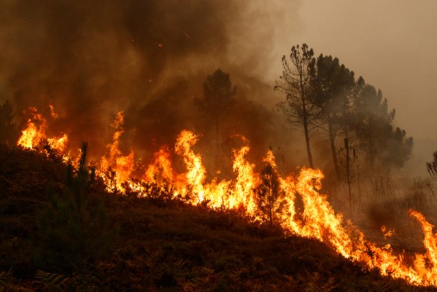 Comment la Corse a réduit par six les feux de forêts depuis les années 80 - WE DEMAIN