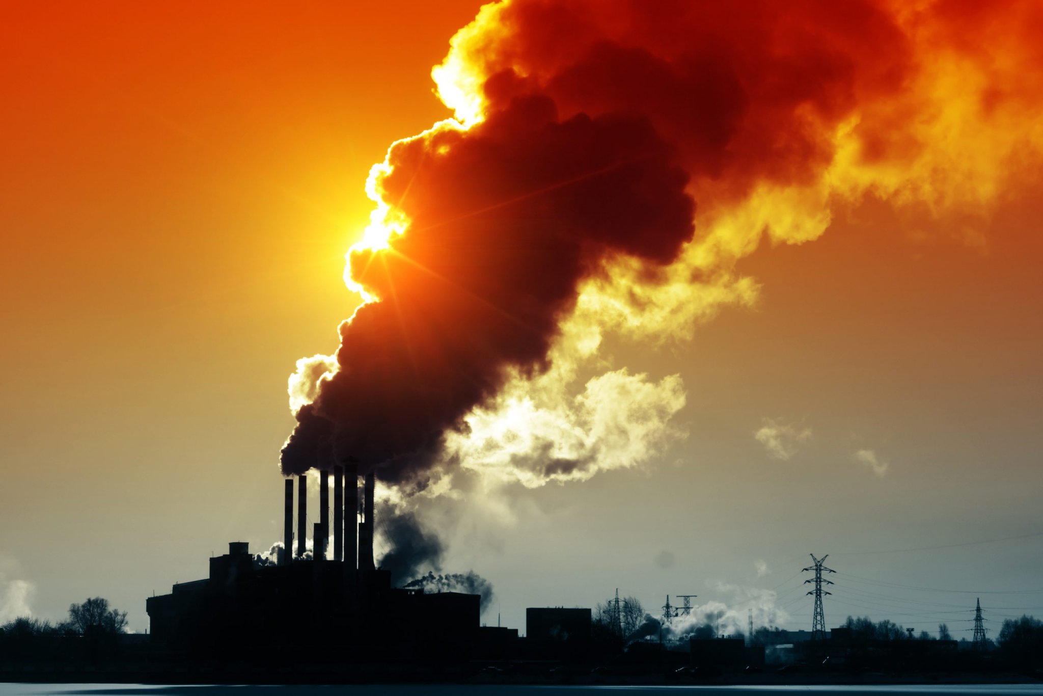 COP27 : alerte rouge vif pour l’humanité, selon le Global Carbon Project