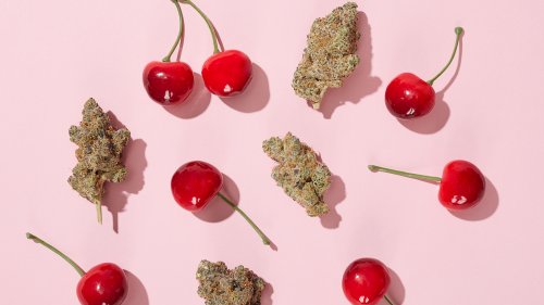 Cherry weed strains: 6 cherry-flavored weed strains for a mouth-watering smoke