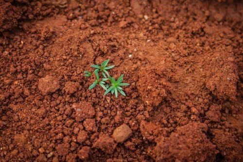 Soil could help in the fight against climate change - or make it worse. The outcome is in our hands