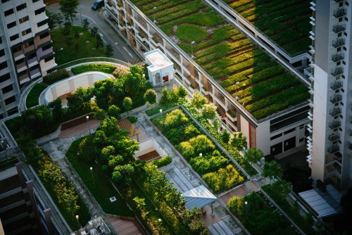 Greener cities could prevent thousands of deaths, new study shows