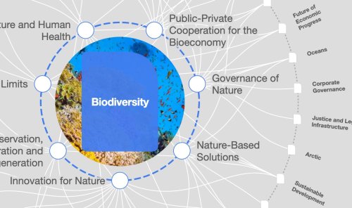 Native crops extinction: Why our food future depends on biodiversity
