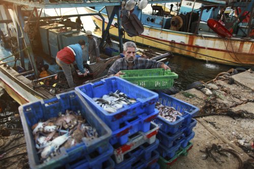 What does sustainably-sourced seafood actually mean?