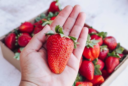 Here's what happened when AI and humans met in a strawberry-growing contest