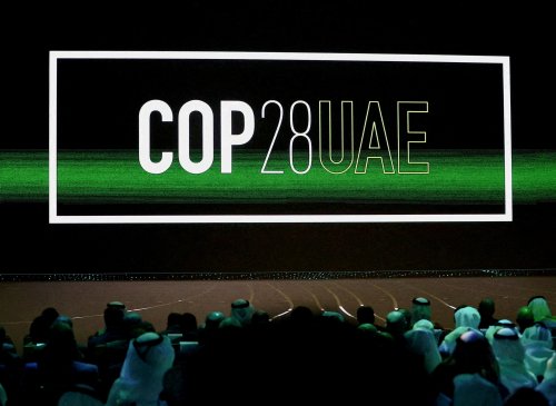 COP28: New climate disaster fund, plus other nature and climate stories to read this week