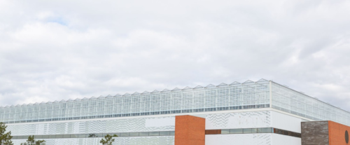 Feeding a city from the world’s largest rooftop greenhouse