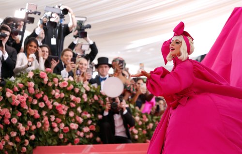 Taxonomy: Why 19 ferns are named after Lady Gaga and a bug is named after Brad Pitt