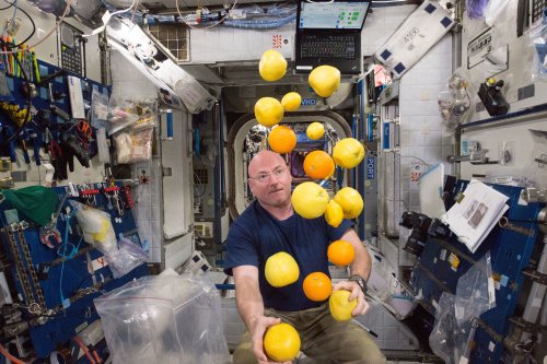 This NASA-inspired technology converts carbon dioxide into food. Here’s how