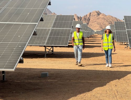 Egypt’s Nexus for Water, Food and Energy programme – the blueprint to fight climate change?