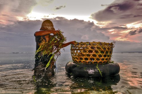 4 ways to ensure the future of aquaculture is sustainable