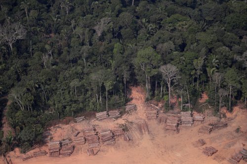 4 vital steps to protect the world’s remaining rainforests