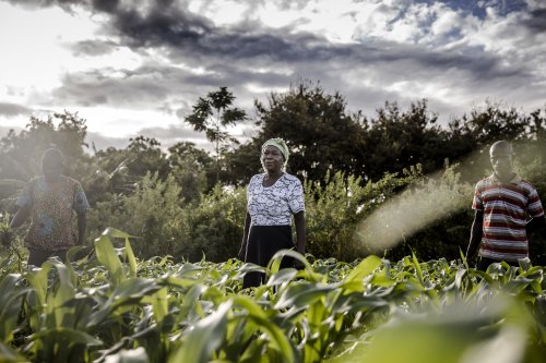 Here's why we need to tackle gender inequalities in agrifood systems