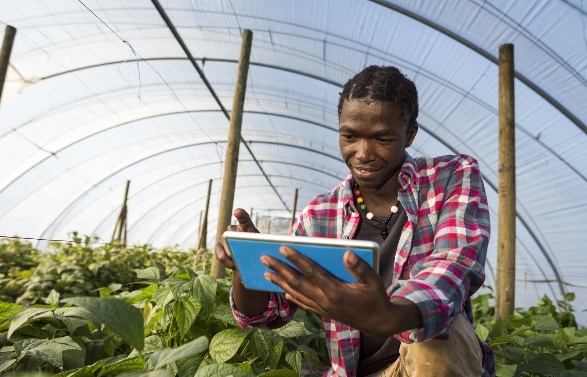 Unlocking Africa's $1 trillion food economy: The role of global aid and sustainable technology
